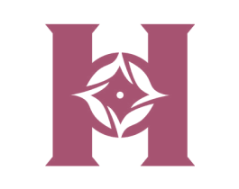 H 商标图样