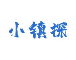 小镇探 商标图样