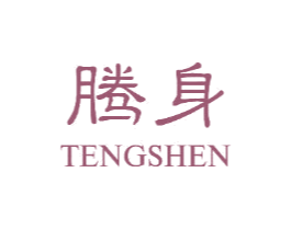 腾身 商标图样
