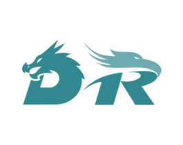DR 商标图样