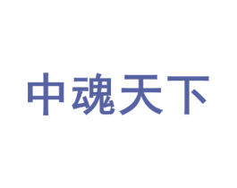 中魂天下 商标图样