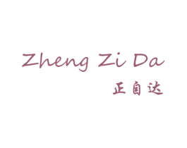 正自达 商标图样
