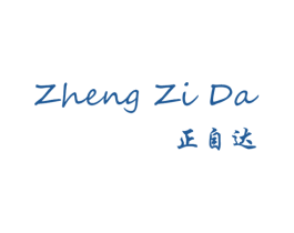 正自达 商标图样