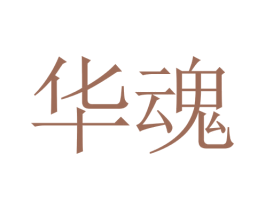 华魂 商标图样