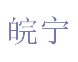 皖宁 商标图样