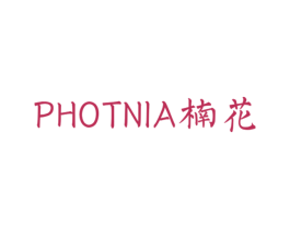 楠花 PHOTINIA 商标图样
