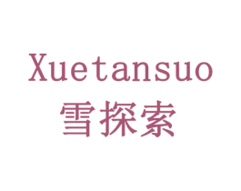 雪探索 商标图样