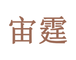 宙霆 商标图样
