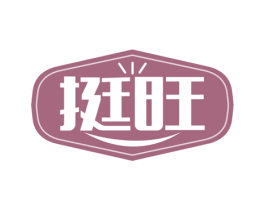 挺旺 商标图样