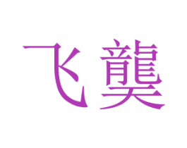 飞龑 商标图样