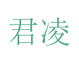 君凌 商标图样