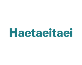 HAETAEITAEI 商标图样