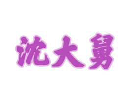 沈大舅 商标图样