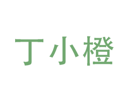 丁小橙 商标图样