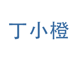 丁小橙 商标图样