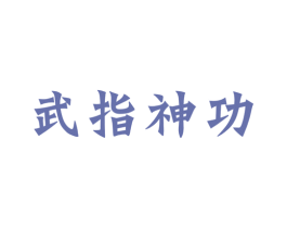 武指神功 商标图样