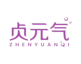 贞元气 商标图样