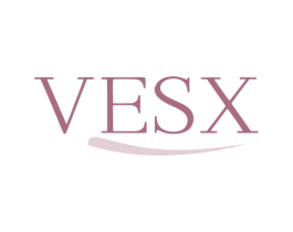 VESX 商标图样