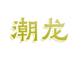 潮龙 商标图样