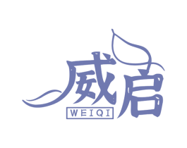 威启 商标图样
