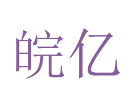 皖亿 商标图样