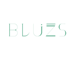 BLUZS 商标图样
