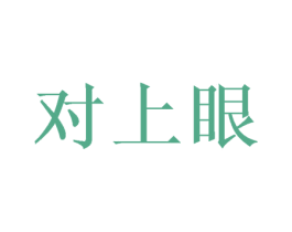 对上眼 商标图样