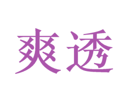 爽透 商标图样