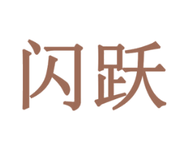 闪跃 商标图样