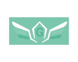 G 商标图样
