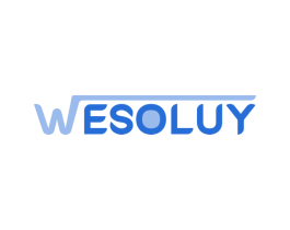 WESOLUY 商标图样