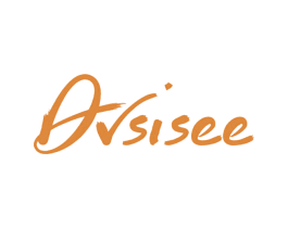 DVSISEE 商标图样