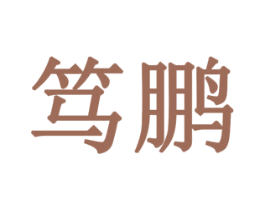 笃鹏 商标图样