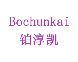 铂淳凯 商标图样