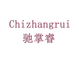 驰掌睿 商标图样