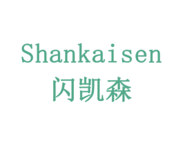 闪凯森 商标图样