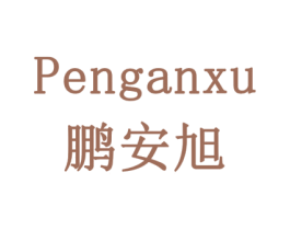 鹏安旭 商标图样