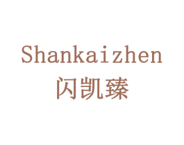 闪凯臻 商标图样