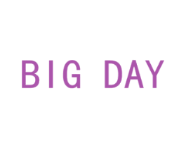 BIG DAY 商标图样