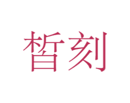 皙刻 商标图样