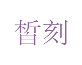 皙刻 商标图样