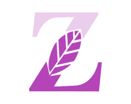 Z 商标图样