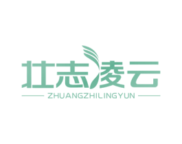 壮志凌云 商标图样