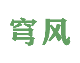 穹风 商标图样