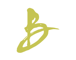 B 商标图样