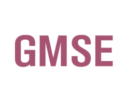 GMSE 商标图样