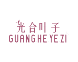 光合叶子 商标图样