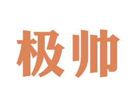 极帅 商标图样