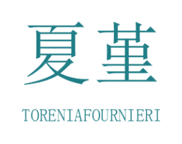 夏堇 TORENIAFOURNIERI 商标图样