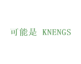 可能是 KNENGS 商标图样